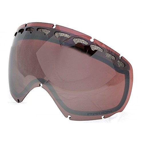 Oakley Wisdom Ski Goggle Replacement Lens Southern Wisconsin