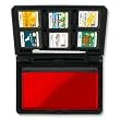 DS Lite Dura-Case