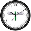 Green Body & White Winged Dragonfly or Dragon Fly - JP Wall Clock by WatchBuddy Timepieces (Slate Blue Frame)