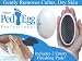 Kitchen & Housewares : Brand New:Ped Egg Professional Pedicure Foot File As On TV