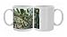 Photo Mugs of Jojoba Beans On Bush from Ardea Wildlife Pets