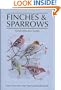 Finches and Sparrows: An Identification Guide (Helm Field Guides)