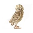 BURROWING OWL 10" HIGH TURNING HEAD
