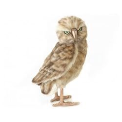 BURROWING OWL 10" HIGH TURNING HEAD
