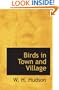 Birds in Town and Village