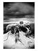 Dunnottar Castle, Kincardineshire, Scotland Giclee Poster Print by Simon Marsden, 12x16