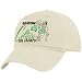 Twins Enterprise Boston Celtics Natural 2008 NBA Champions 17-Time Champs Adjustable Slouch Hat