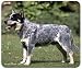 Australian Cattle Dog Mousepad