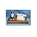 Bernese Mountain Dog Desk Set