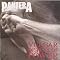 Collect EVERYTHING Pantera