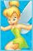 Disney Tinkerbell 54x80 Area Rug