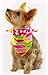 Girl's Pink Surfboard Bandana for Dogs (L) Ties on 14