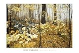 Parker Autumn Maples Kunstdruck Wolf Wölfe