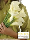 Jane Goodall Organic Calla Lilies, Eco-Friendly - White Lily Bouquet