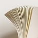 LEUCHTTURM1917 - Notebook Hardcover Medium A5-251 Numbered Pages for Writing and Journaling (Berry, Plain)