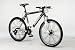 Sports : MOUNTAINBIKE MTB FAHRRAD EVO 2.0 WEISS/ANTHRAZIT 53 CM