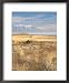 Abandoned Ranch Buildings above Great Salt Lake, Antelope Island State Park, Utah, USA Collections Framed Art Poster Print by Scott T. Smith, 18x22
