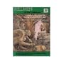 Hillmen of the Trollshaws (Middle Earth Role Playing, MERP #8040)