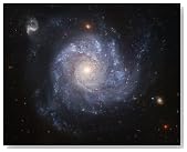 Hubble Space Telescope Photo Spiral Galaxy NASA Photos 8x10