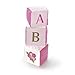 FAO Schwarz Posey Stacking Blocks