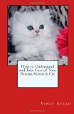 How to Understand and Take Care of Your Persian Kitten and Cat
