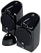  : Acoustic Research AW877 900 Mhz Indoor Wireless Speakers (Black)