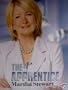 Apprentice 21x30 Original Tv Show