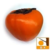 柿（カキ）：富士（ふじ）4号ポット[ころ柿・あんぽ柿に最適　釣り鐘形の不完全渋柿][苗木]