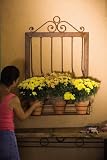 Rustic Iron Window Box