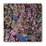 IMAGE OF Ceramic Coaster Set - 4 pcs - Designer Coasters: Nature/Scene/ Scenery - (CCNA-222)