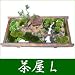【敬老の日】盆栽・盆景 茶屋 (L): ※手作りのためお届けまでにお時間を頂く場合もございますので、ご了承下さい。<br>「お手入れ方法」【樹木】:毎回朝1回水をやってください。<br>【苔】:乾燥の程度を見ながら霧吹きでたっぷりと。<br>【陽光】:...