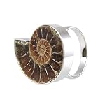 Silver Natural Fossil Ammonite Adjustable Ring 1x0.88 Inches