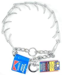Chain Pinch Collar Lrg