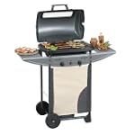 Campingaz 3000001239 Barbecue � Gaz E...