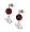 Arizona Cardinals