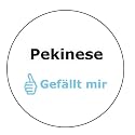 Pekinese gef&auml;llt mir Aufkleber - 10 cm Durchmesser