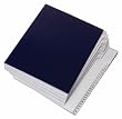 Globe-Weis Everyday File, Letter Size, 1-31 Index, Blue/Gray, (4EDF)