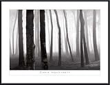 417pf0EBYZL. SL160  Trees in Fog, San Francisco Presidio by Chris Honeysett 36.00X26.00 Framed with Black Metal Frame