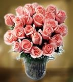 Send Fresh Cut Flowers - 25 Long Stem Pink Roses
