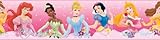 Roommates Rmk1526Bcs Disney Princess Dream From The Heart Pink Peel & Stick Border [並行輸入品]