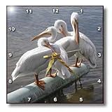 Jackie Popp Nature N Wildlife birds - Great White Pelicans - Wall Clocks