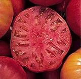 Mortgage Lifter Tomato 10 Seeds - HEIRLOOM