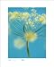 Icon Art Print - Sunburst (40x50cm) - Poster