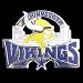 Minnesota Vikings Pin - NFL Football Fan Shop Sports Team Merchandise