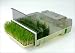 EasyGreen Automatic Sprouter System