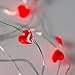 25 LED Hearts, 10 Ft. Long Bendable Copper Wire String Light - Great for Mother's Day, Valentine's Day, Birthdays, and Anniversaries!