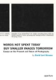 Words not spent today buy smaller images tomorrow : essays on the present and future of photography