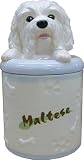 MALTESE - DOG TREAT JAR, SS-D-CJ023