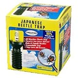 Tanglefoot Japanese Beetle Xpando Trap & Double Lure