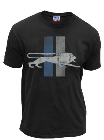 Junk Food NFL Detroit Lions Football Lion Stripe 